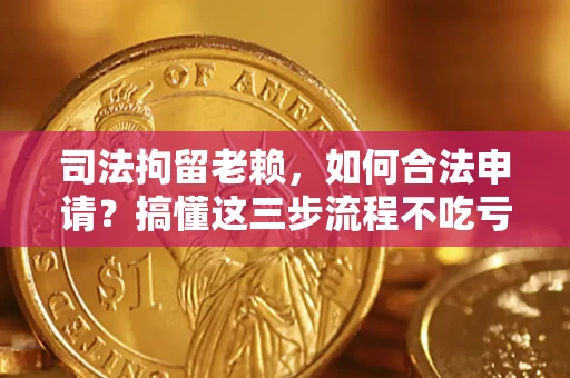 济南司法拘留老赖，如何合法申请？搞懂这三步流程不吃亏！