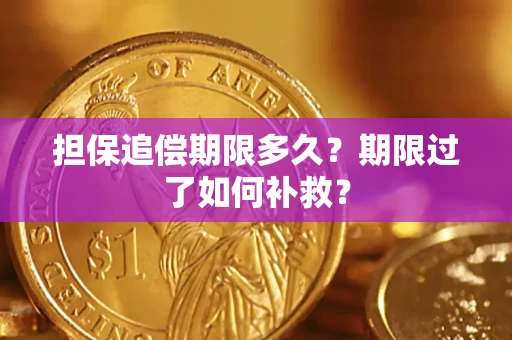济南担保追偿期限多久？期限过了如何补救？