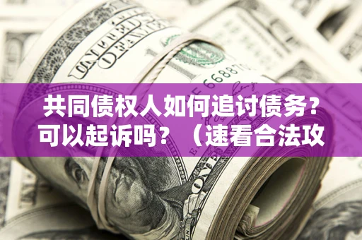 济南共同债权人如何追讨债务？可以起诉吗？（速看合法攻略）