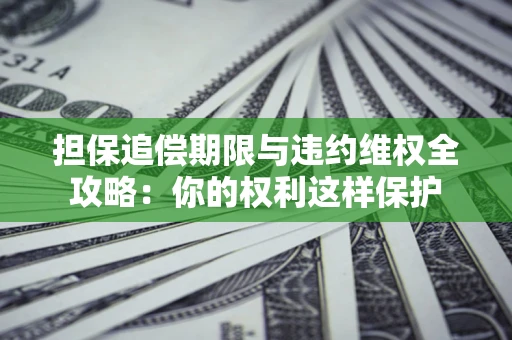 济南担保追偿期限与违约维权全攻略：你的权利这样保护