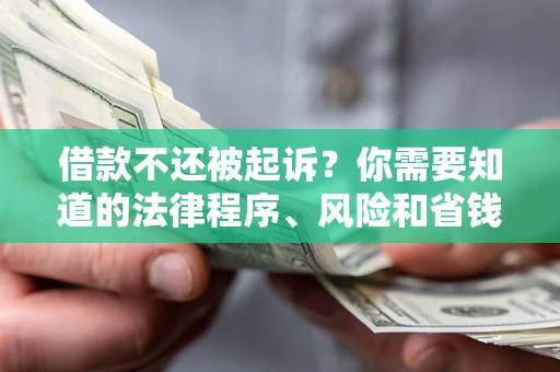 济南借款不还被起诉？你需要知道的法律程序、风险和省钱技巧